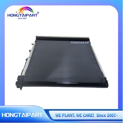 購入 トランスファーベルト組立て 604K57380 604K57381 604K57382 604K57383 604K57384 604K57384 641S00838 622S01514 ジェロックスファザー 7800 ワークセンター 7525 7530 7535 7545 7556 7830 7835 7845 7855 オンライン製造
